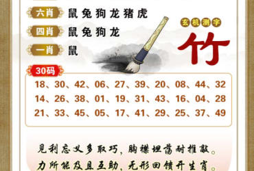 2025067期香港彩九肖30码中特